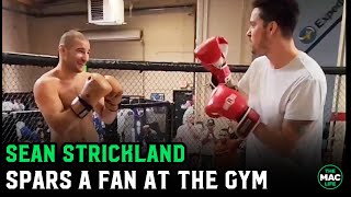 Sean Strickland spars a fan