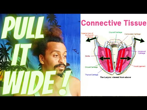 CricoThyroid Pars Oublique Training – Anatomical Vocal Training (21)