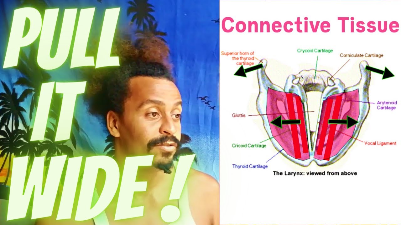 CricoThyroid Pars Oublique Training – Anatomical Vocal Training (21)