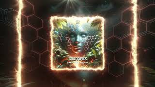  Shantifax  Massive Vision original Mix