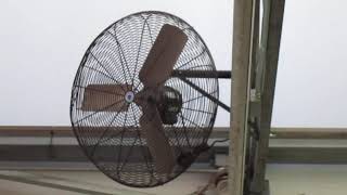 Schaefer industrial wall fans at Home Depot