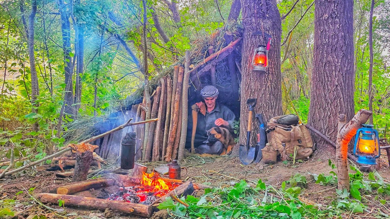 Building a Secret Shelter next to the big tree - Bushcraft Survival ...