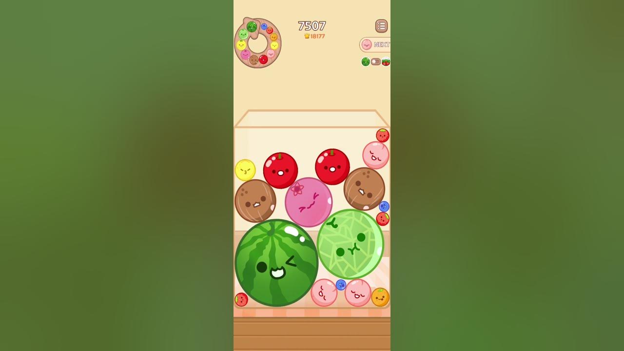 Playing Melon Maker Game I Almost Can Pop The Watermelons Twice!!! I