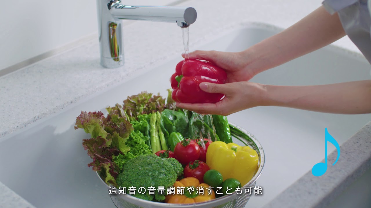 トレビーノブランチ（カートリッジ＋電池） | 浄水器 | アクセサリー 