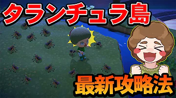あつ森 タランチュラ島 Mp3 あつ森 タランチュラ島 Mp3