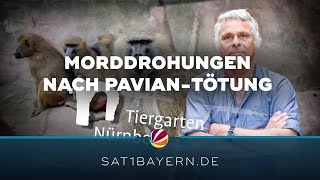 Tote Paviane Im Tiergarten Nürnberg Morddrohungen Gegen Zoodirektor