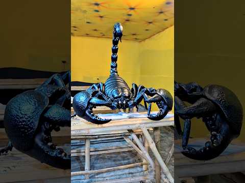 घूकरी बिच्छू है  😱 #ghukri #bichhu #aryansir #school #lesson #shorts thumbnail