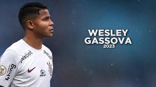Wesley Gassova is the Next World Superstar 🇧🇷