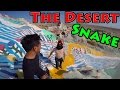 Adventures in the Desert