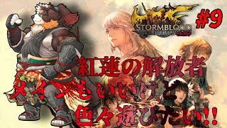 【FF14】紅蓮の解放者！やるぞ！！#9「ネタバレ注意」「ネタバレ禁止」