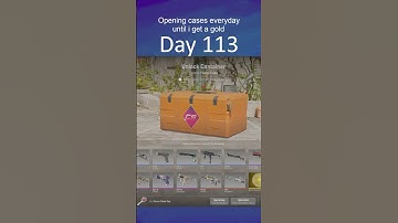 Opening Cases everyday until I unbox a gold | Day 113 #cs2 #caseopening