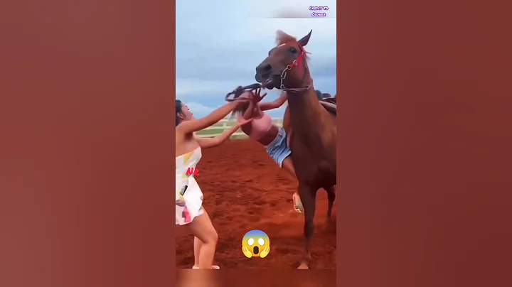 Video 11198711: pets funny animals, cat funny animals, clean funny cat