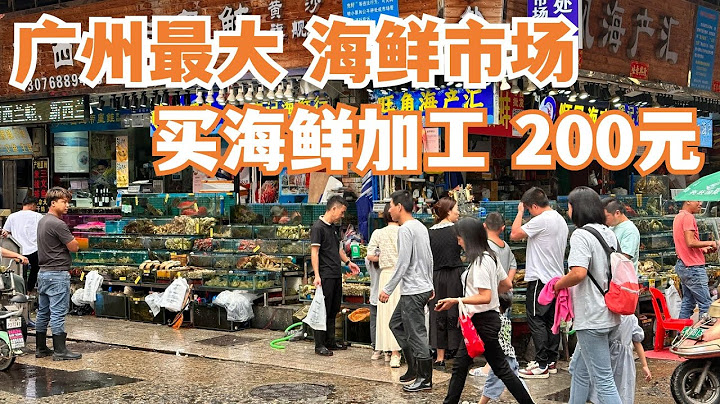 【广州漫步粤菜美食探店】广州最大海鲜市场！食海鲜必去！消费300元！巨满足！美食市集！街头小食！好食到哭！不得了！美食功略！黄沙海鲜市场！海鲜美食！Canton Food Tour｜GuangZhou - 天天要闻