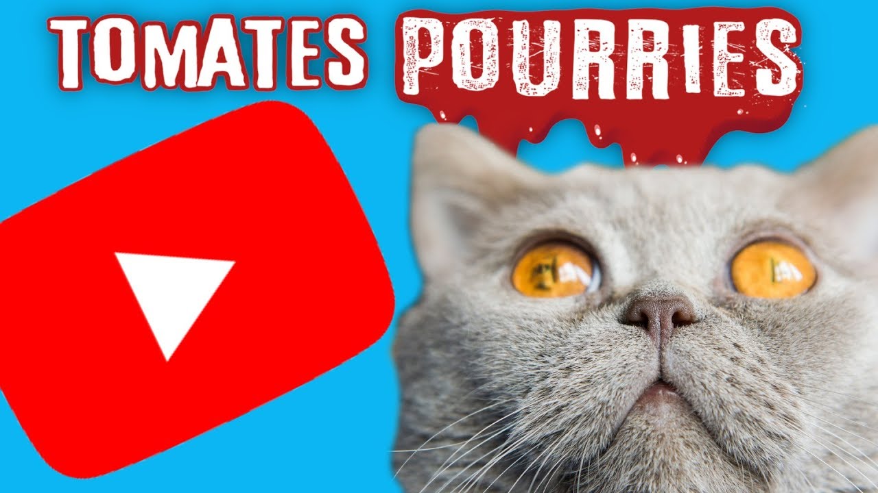 🍅 Pourquoi Youtube nous rend idiots ? Jetons-leur des Tomates Pourries !