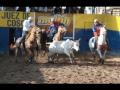 romance copla y coleo armando martinez