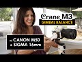 Zhiyun Crane M3 with Canon M50 &amp; Sigma 16mm - BALANCE &amp; Vlogging Setup