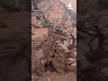 Dozens rescued, about 15 missing after Grand Canyon flash flood