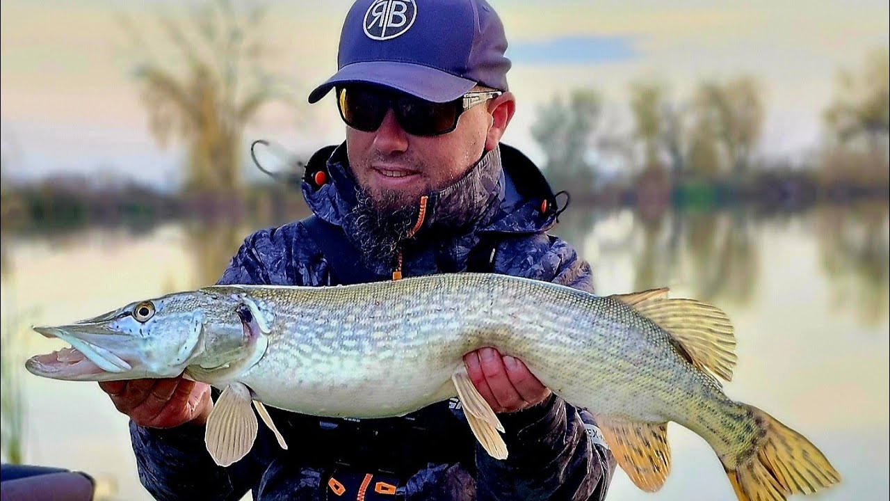 🎣 Am PESCUIT la ȘTIUCĂ la ÎNCEPUTUL IERNII ❄️