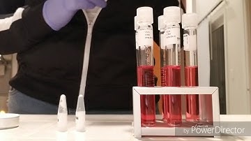 Lab 5- Carbohydrate fermentation