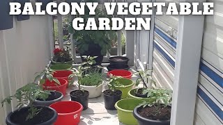 Balcony Vegetable Garden Full Time Caravan Life