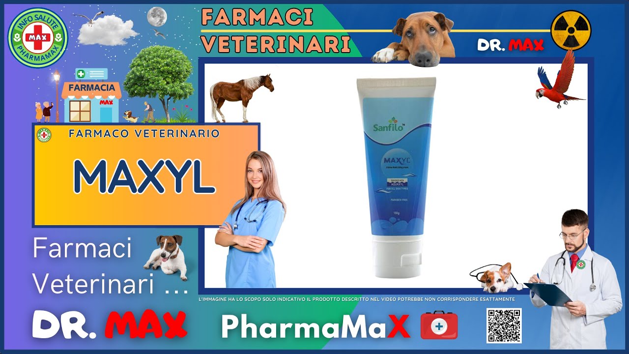Maxyl L 🐶 MAXYL Farmaco Veterinario a cosa serve ? - Foglietto Illustrativo ...