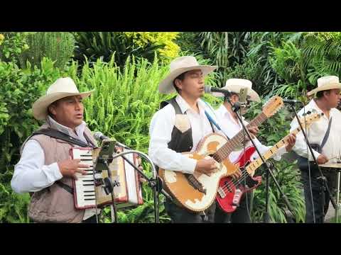 Norteños CDMX · Video 1 en YouTube