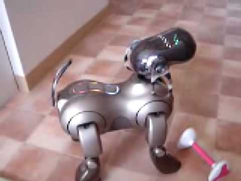 片足上げて踊るAIBOちゃん