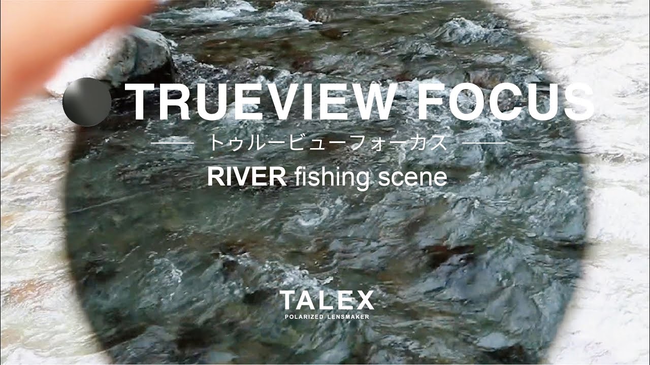 TALEX トゥルービューフォーカス TALEX online［トゥルービューフォーカス］TRUEVIEW FOCUS – TALEX