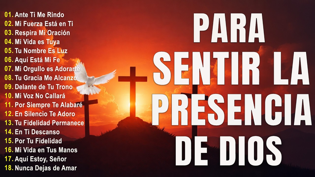 SEÑOR, NO ME SUELTES 🙏🤍 – ALABANZA CRISTIANA PARA BUSCAR A DIOS ✝️🕊️ | CANCIÓN QUE TOCA EL CORAZÓN ✨