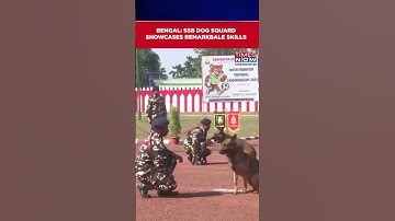 SSB Dog Squad Show Impressive Abilities During 4-Day Inter-Frontier Football Championship #shorts