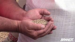 BRANDT Agronomy Update: Applying Cover Crops