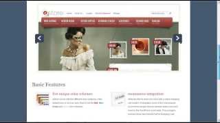 Elegantthemes / WordPress Theme - eStore
