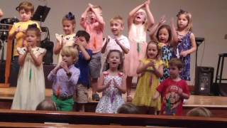 Caylen & Cl Of 2017 Ofdbc1