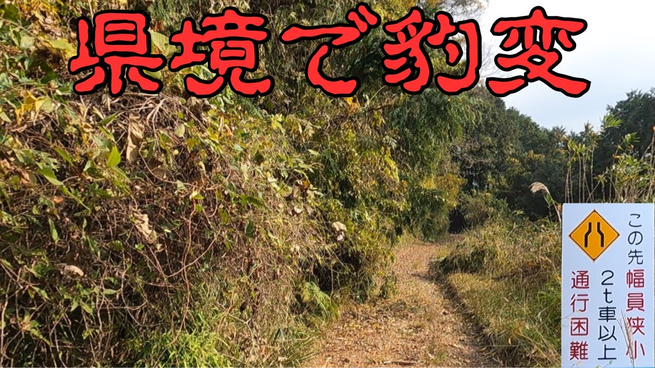 県境前後でギャップが凄い県道   [三重・奈良県道781号 都祁名張線]