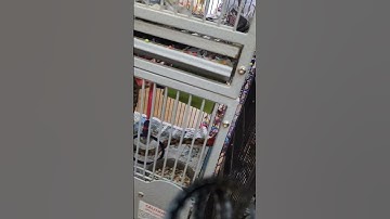 سورة الحج أسمع صوت قرآن كريم تلاوة خاشعة يريح النفس والأعصاب سبحان الله العظيم 🤲🥺🧿