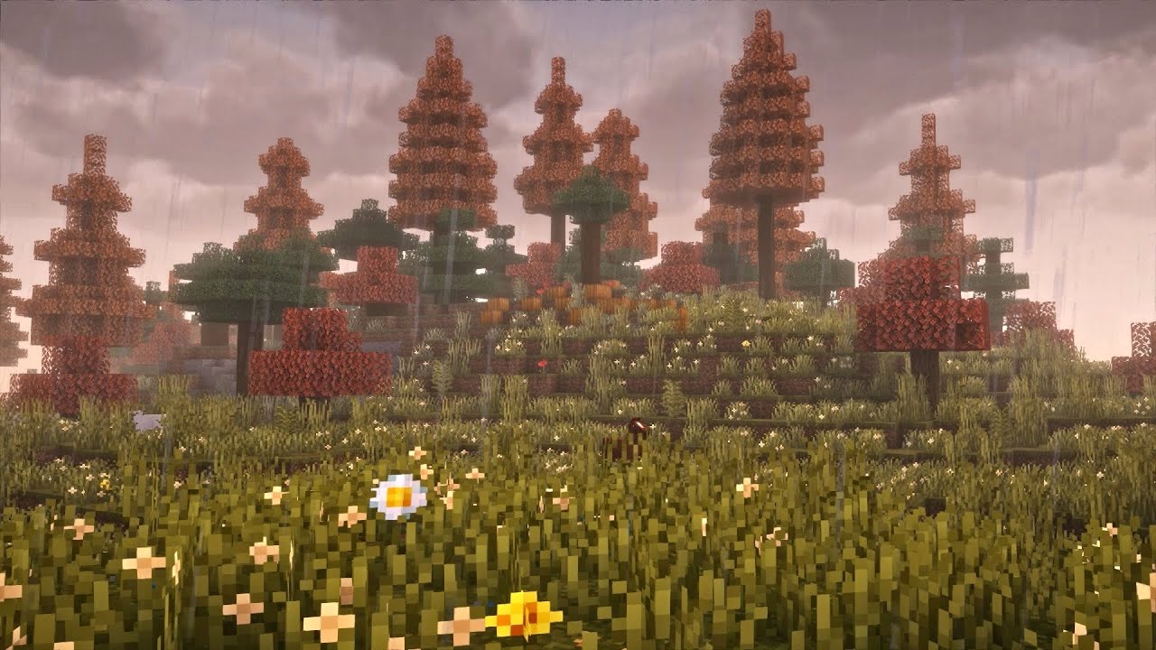 🍂🌧️ Autumn Rainy Day | Minecraft Ambience w/ C418 Music - YouTube