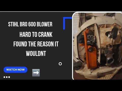 Stihl br600 wont crank: #smallengine #stihl #stihlusa (carb replacement ...