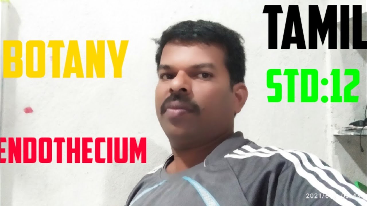 Endothecium in tamil