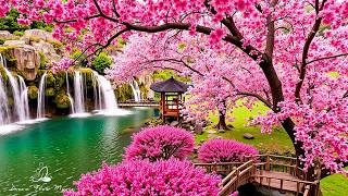 Download Lagu Gentle melody calms the nervous system, reduces stress and negative thoughts #7 MP3