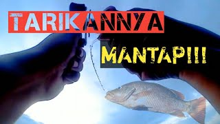 Mancing Pinggiran Casting Pemula