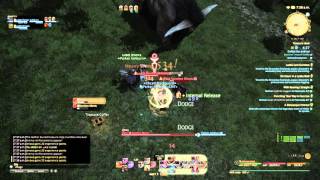 FINAL FANTASY XIV - Unhidden Leather Map