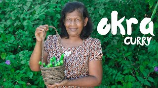 OKRA CURRY | village women cooking okra curry | bandakka curry