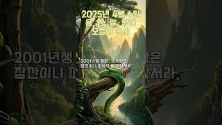 2025년 4월 6일 용띠,뱀띠,말띠,양띠 오늘의 운세 #행운 #재물 #운세 #용띠 #뱀띠 #말띠 #양띠
