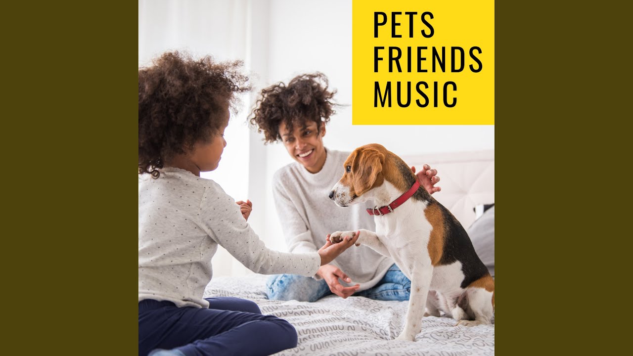 Pets Love Music