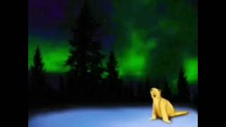 2026 Polar Bear