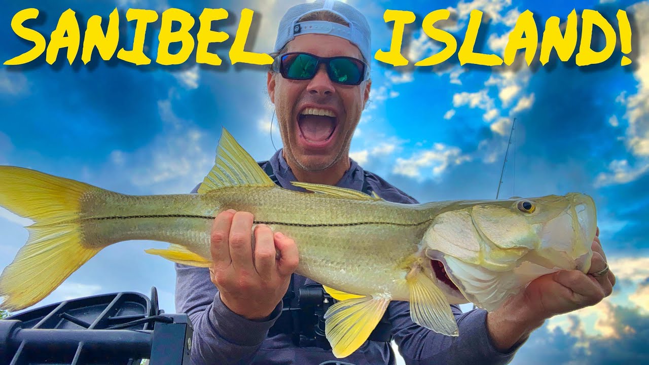 Sanibel Island Kayak Fishing Sheepshead, Snook, Redfish, Trout! YouTube