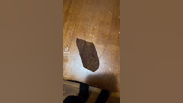 HOW TO ROLL A BACKWOOD #backwoods #howto #tutorial #funny #fyp #funnyvideo #viralvideo #viral