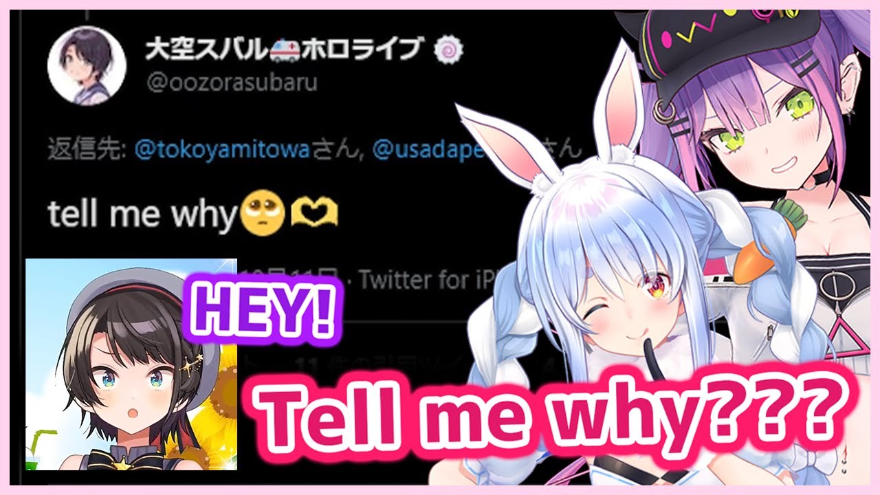 Everyone makes Subaru embarrassed by asking about her reply 