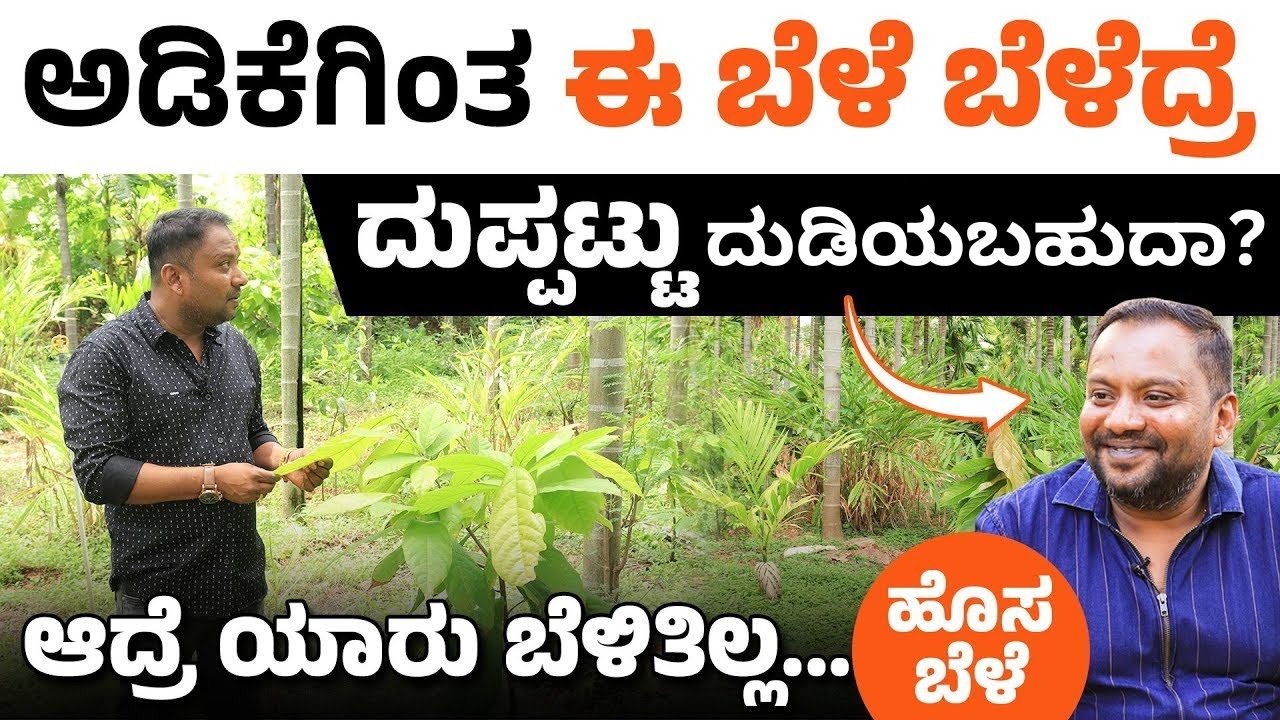 ಒಣಭೂಮಿ ಬೇಸಾಯ ಮಾಡಿ ಗೆದ್ದ ರೈತ ಸಾಧಕ | Dryland Farming 2025 in Kannada | Forest Farming | Integrated