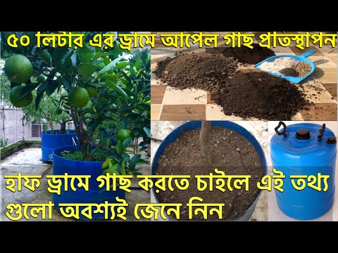 ভিডিও: গ্রীষ্মের বাসিন্দাদের জন্য নোট: কীভাবে একটি ব্যারেলে শসা বাড়ানো যায়